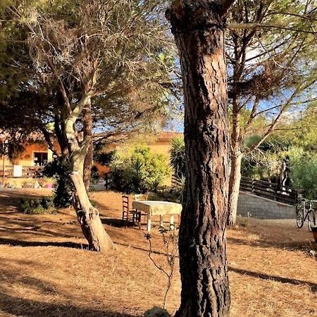 Il Lentischio Del Sinis Villa ปุทซูอิดู ภายนอก รูปภาพ